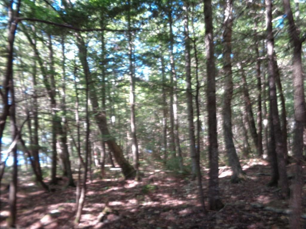 M12-l7 East Shore Road Athens, ME 04912 - Photo 5 of 11 ROW to Common Area