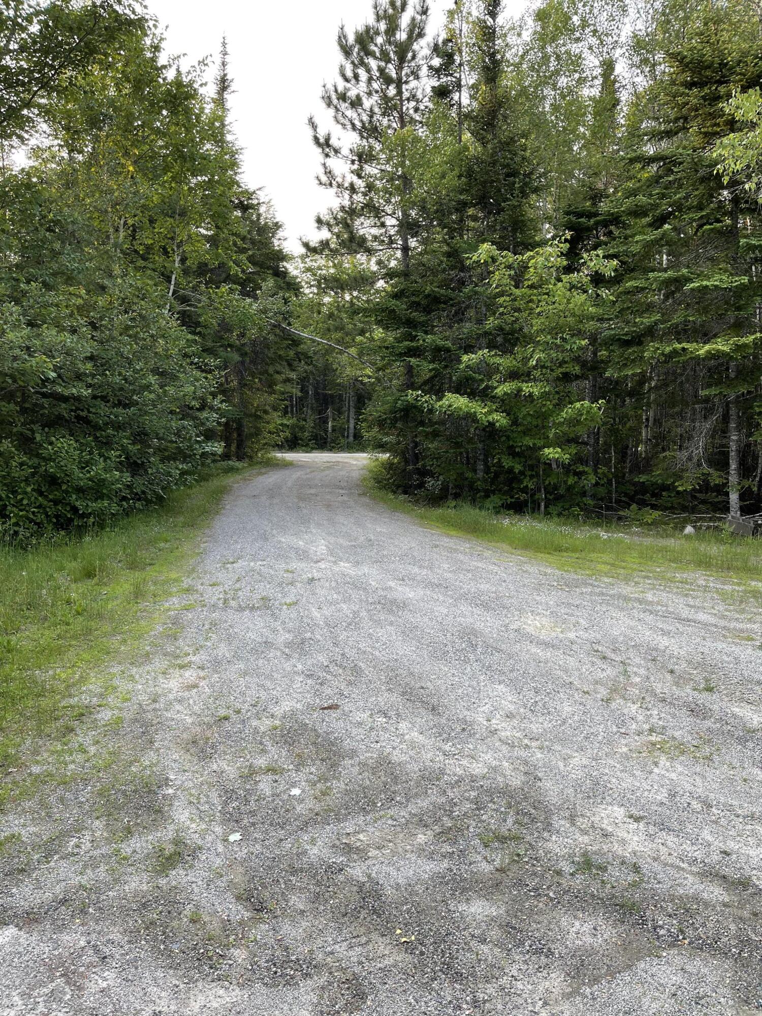 141 Frost Mill Road Ellsworth, ME 04605 - Photo 29 of 31 Driveway