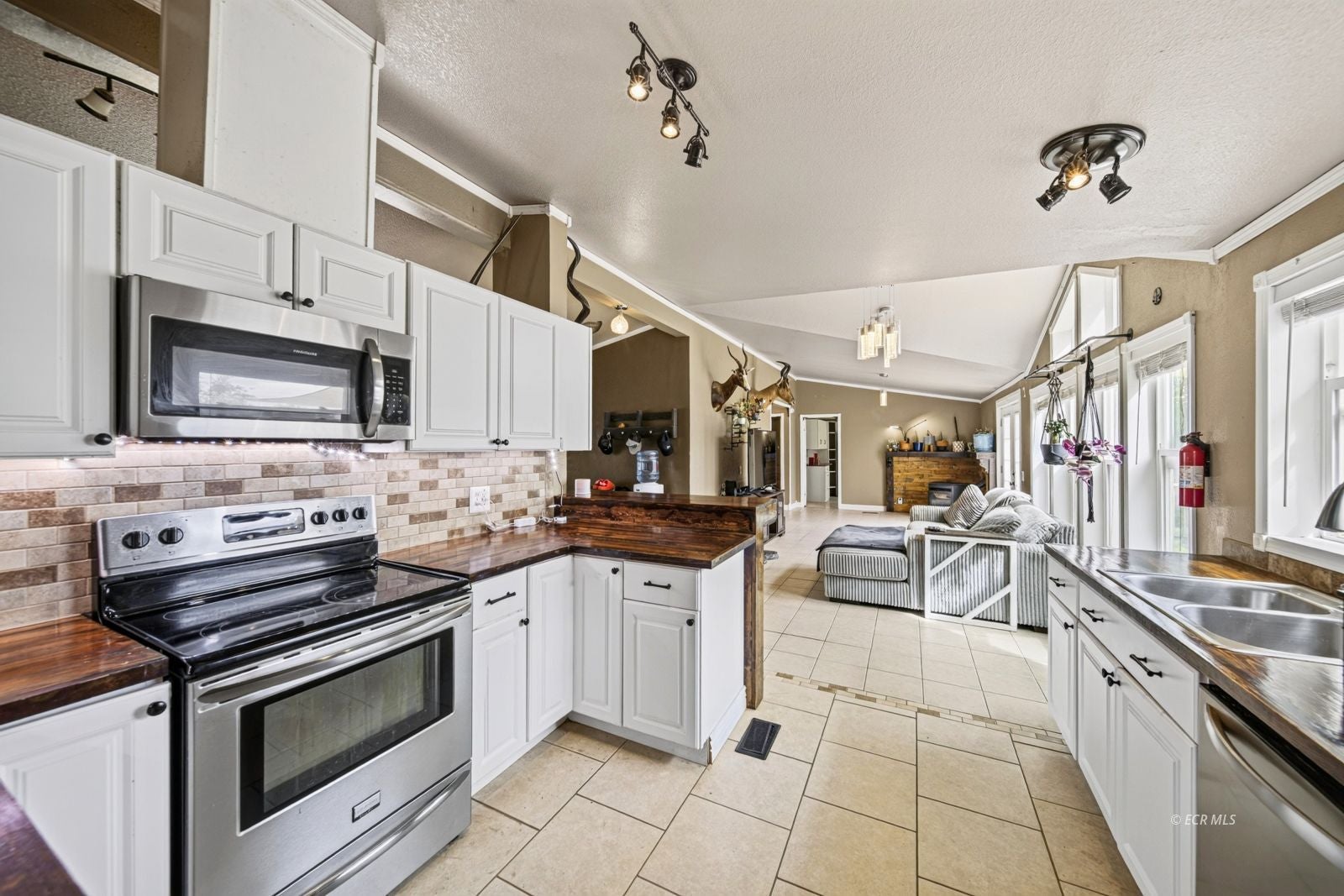 312 Rustic Drive Spring Creek, NV 89815 - Photo 12 of 50 Gallery Image 12