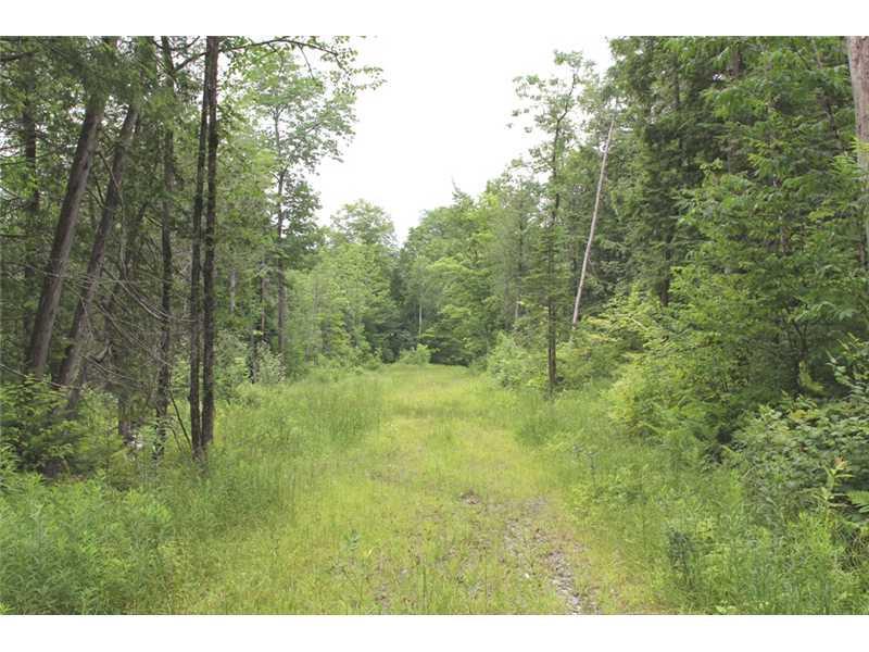 0 Pierce Hill Road Moscow, ME 04920 - Photo 1 of 3 Land.