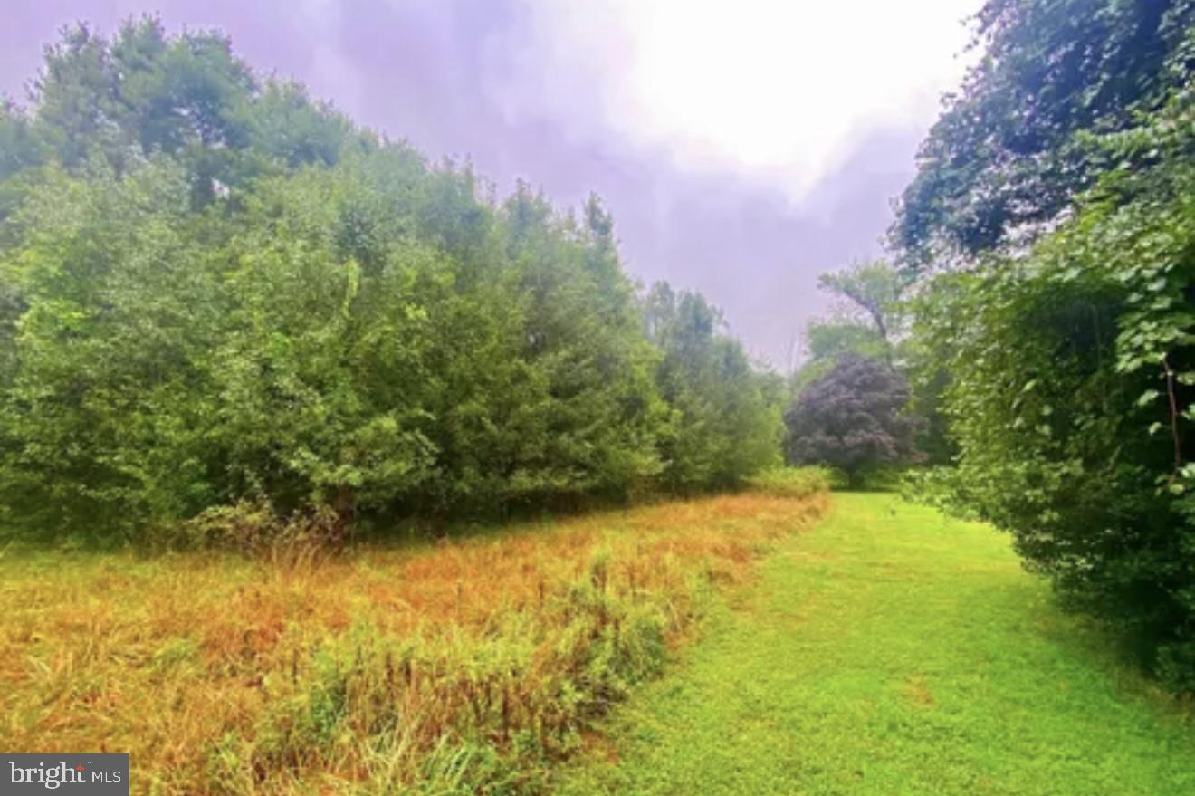 129 Ashton Road Ashton, MD 20861 - Photo 2 of 2 Lush greenery meets open tranquility.