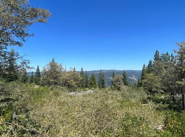 $149,000 | 17935 Sadie D Mine, Nevada City, CA 95959