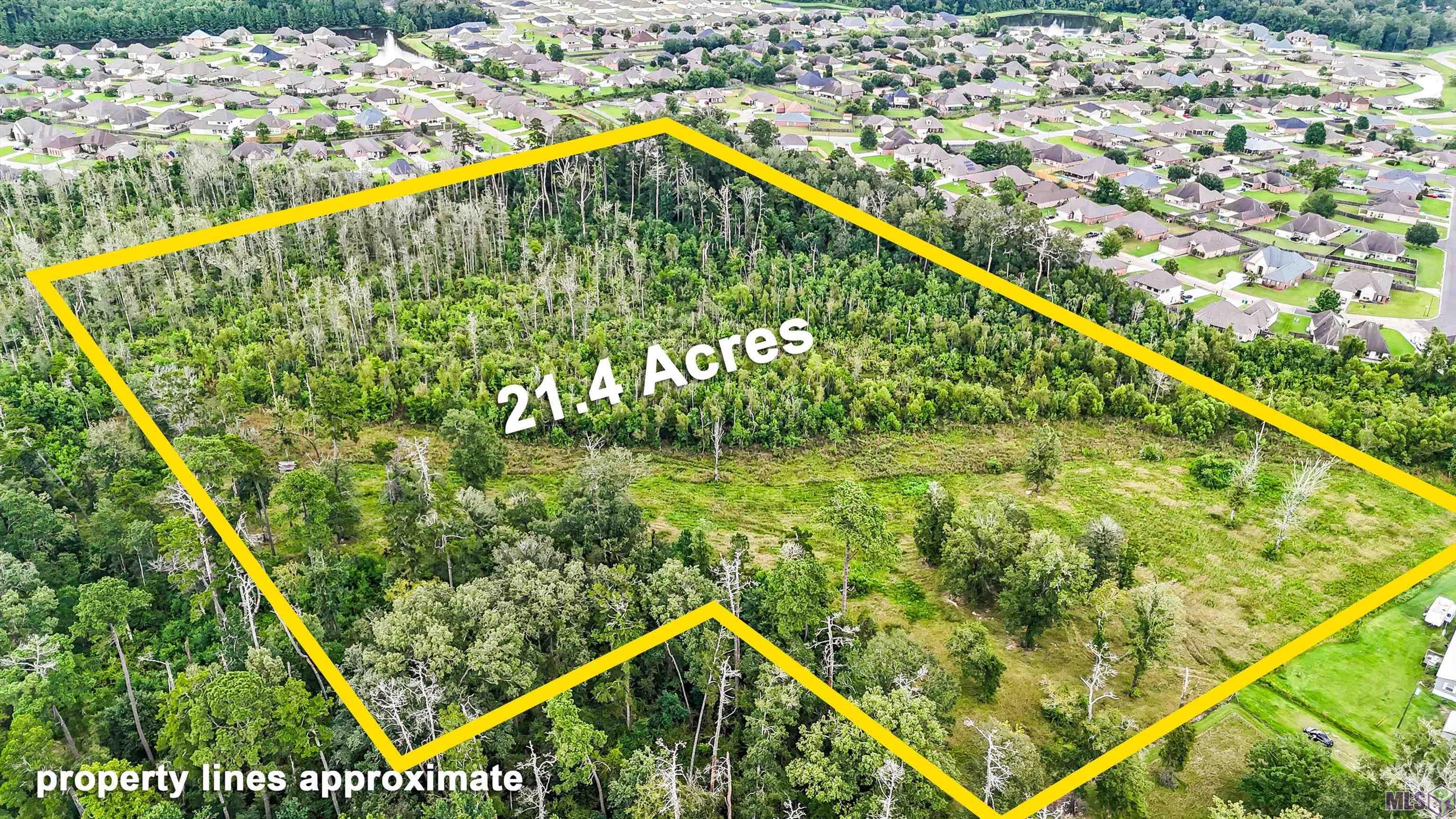 13231 Hammack Road Denham Springs, LA 70726 - Photo 2 of 14