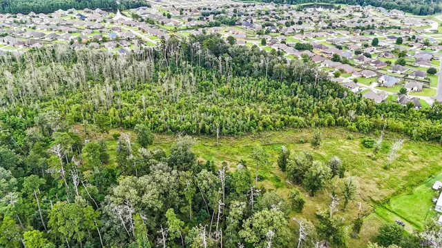 $290,000 | 13231 Hammack Road, Denham Springs, LA 70726