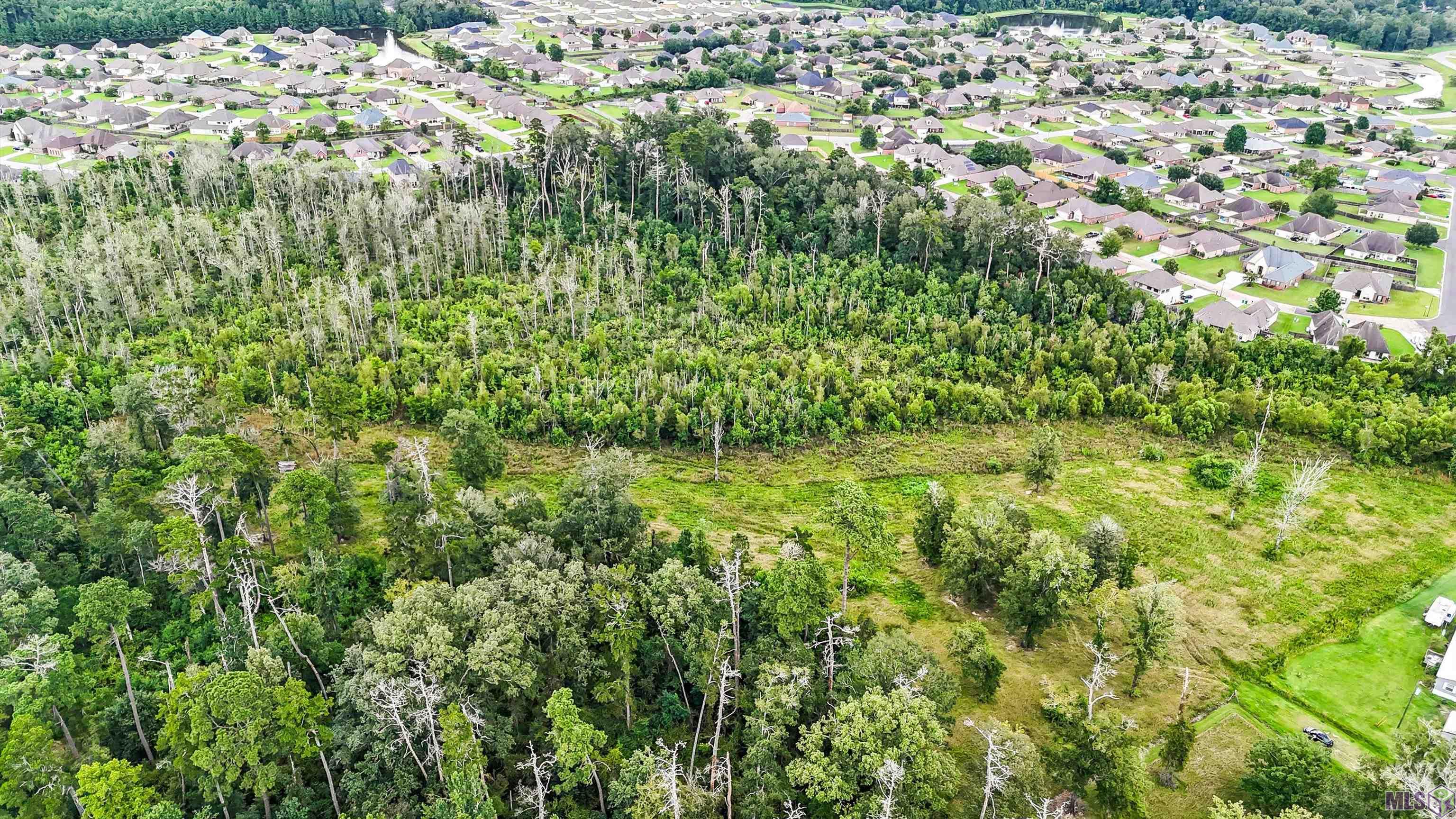 13231 Hammack Road Denham Springs, LA 70726 - Photo 3 of 14