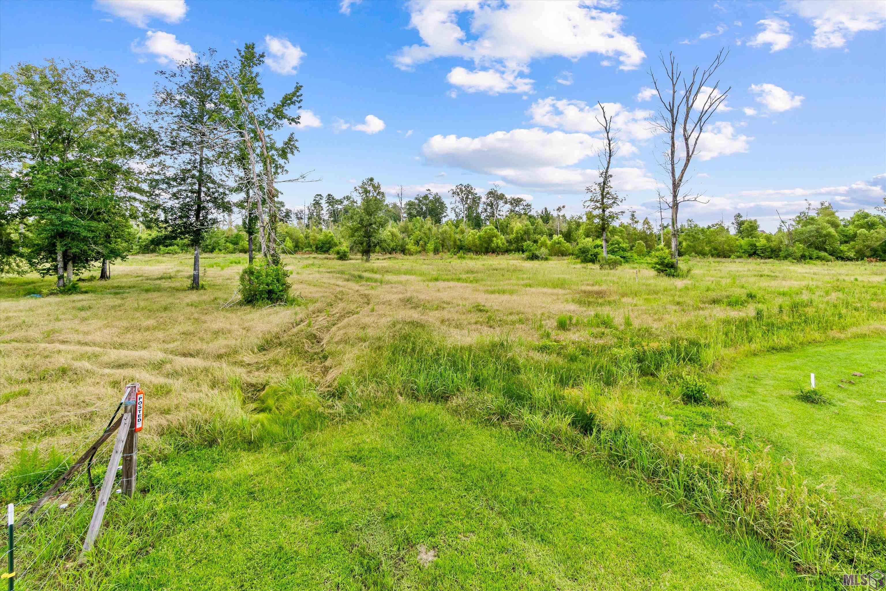 13231 Hammack Road Denham Springs, LA 70726 - Photo 4 of 14