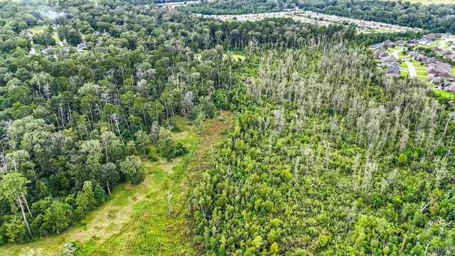 $290,000 | 13231 Hammack Road, Denham Springs, LA 70726