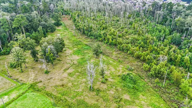 $290,000 | 13231 Hammack Road, Denham Springs, LA 70726