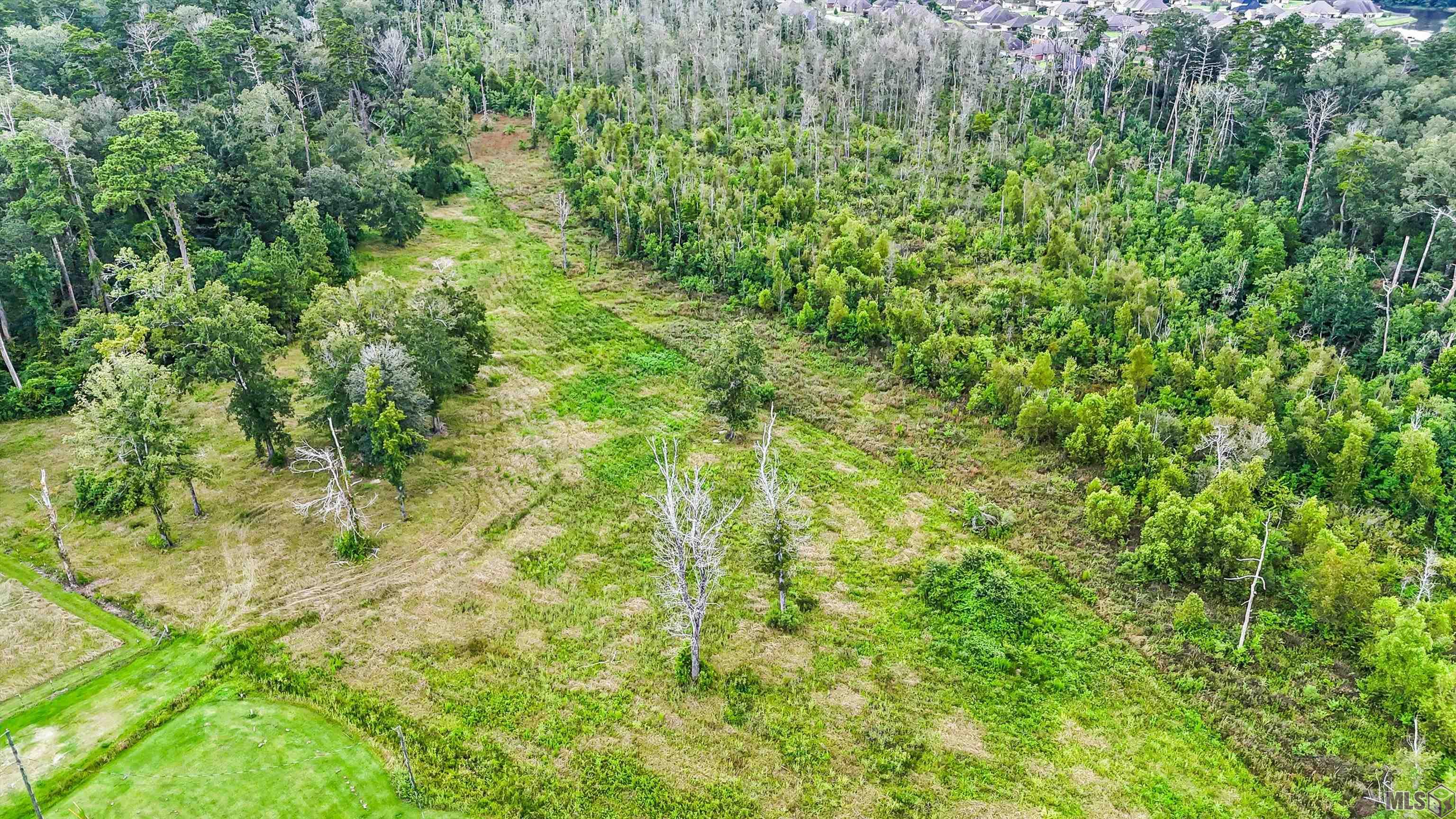 13231 Hammack Road Denham Springs, LA 70726 - Photo 9 of 14