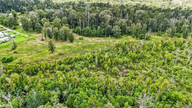 $290,000 | 13231 Hammack Road, Denham Springs, LA 70726