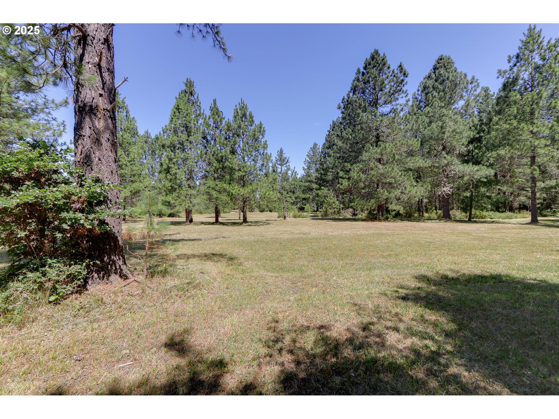 25454 Perkins Road Veneta, OR 97487 - Photo 21 of 32