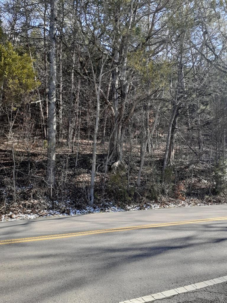 0 Ridge Road Sevierville, TN 37862 - Photo 2 of 11