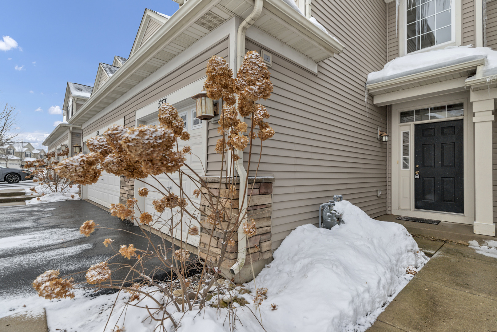 573 Telluride Drive Gilberts, IL 60136 - Photo 4 of 26