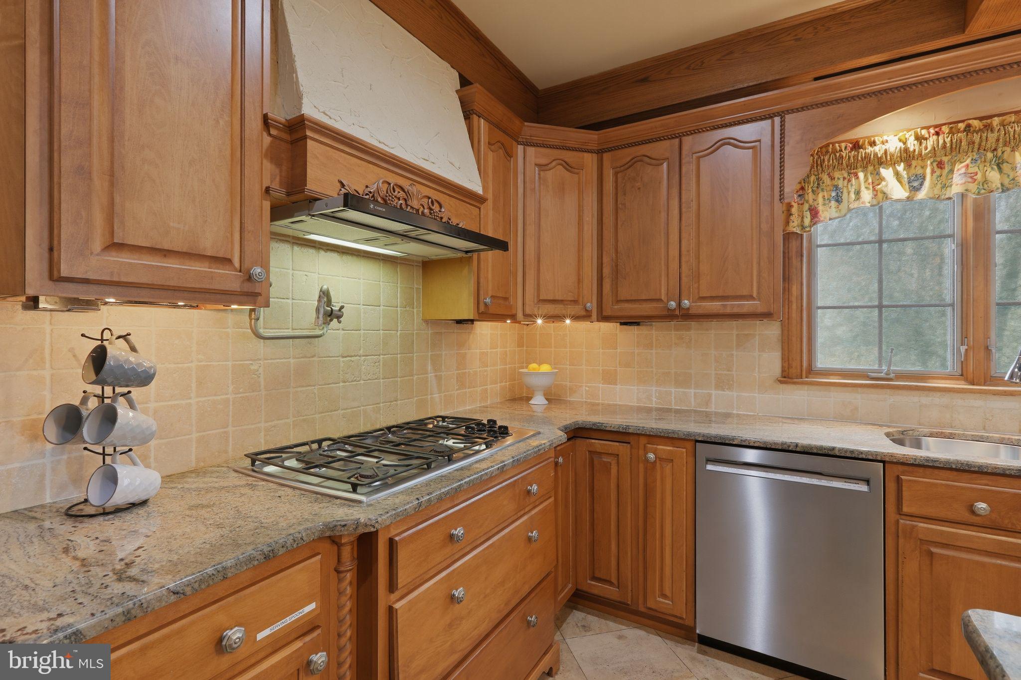231 Hill Road Elverson, PA 19520 - Photo 17 of 60 a kitchen with stainless steel appliances granite countertop a sink stove and cabinets