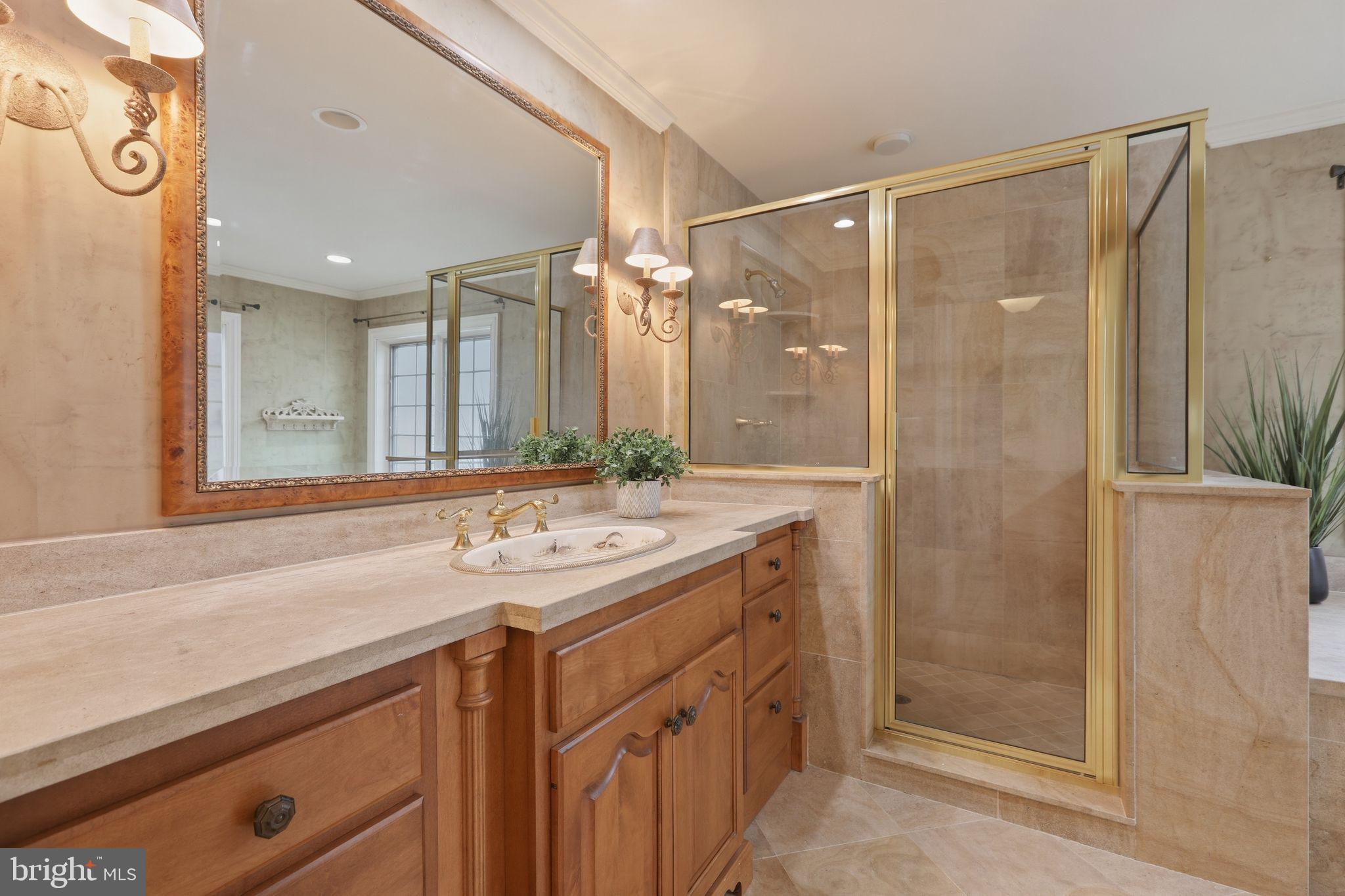 231 Hill Road Elverson, PA 19520 - Photo 35 of 60 a bathroom with a granite countertop sink a mirror and a shower