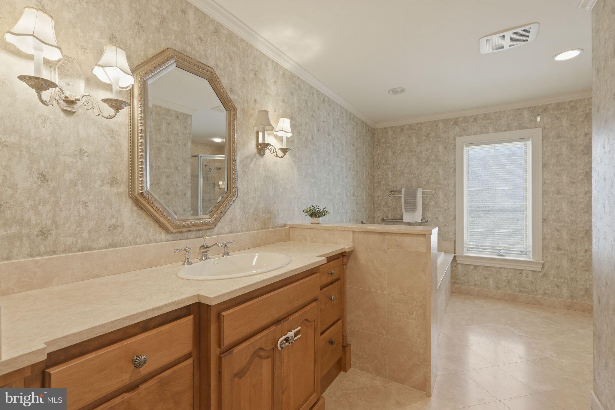 231 Hill Road Elverson, PA 19520 - Photo 46 of 60 a bathroom with a double vanity sink mirror and