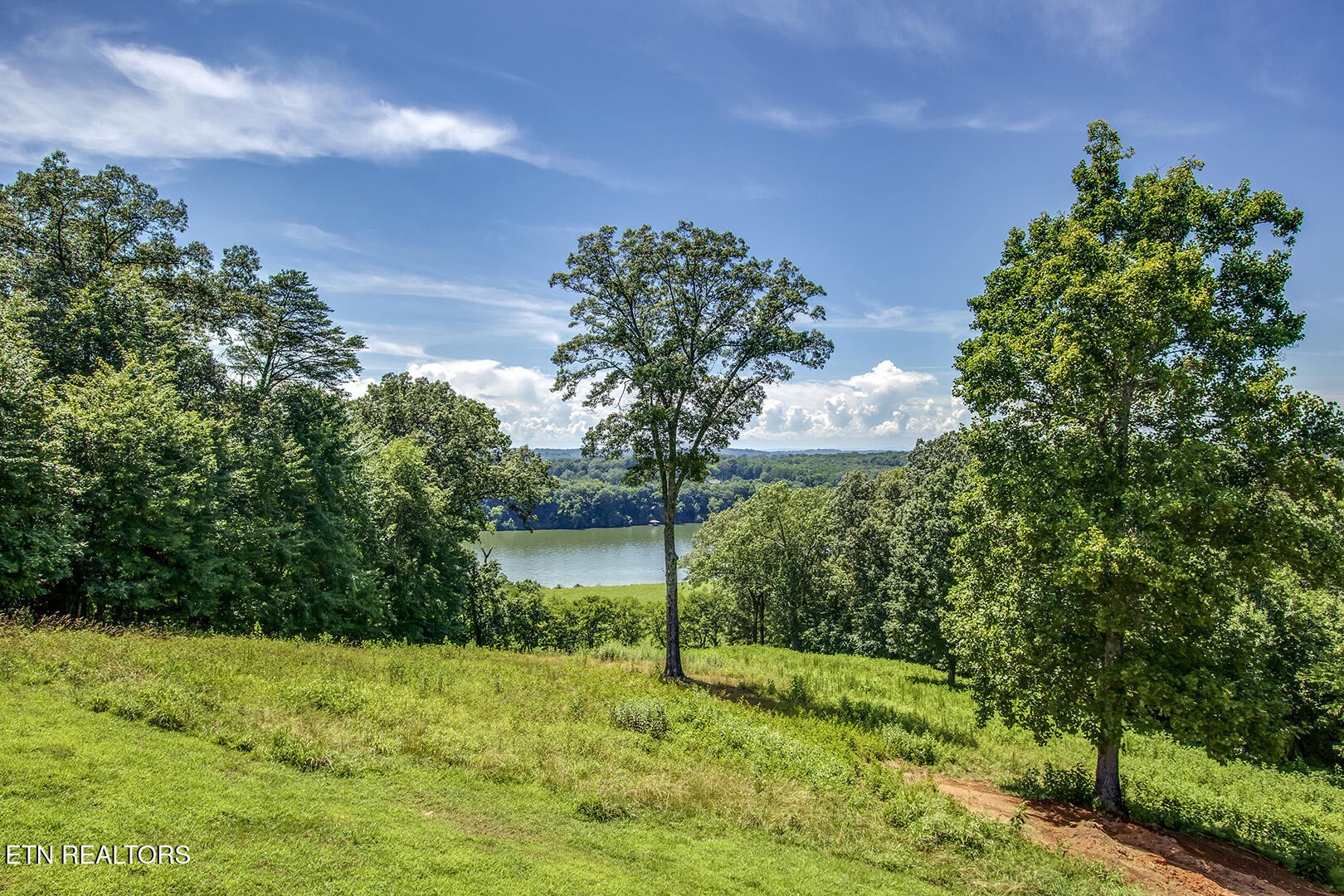 245 Harrison Bend Road Loudon, TN 37774 - Photo 10 of 57 Gallery Image 10