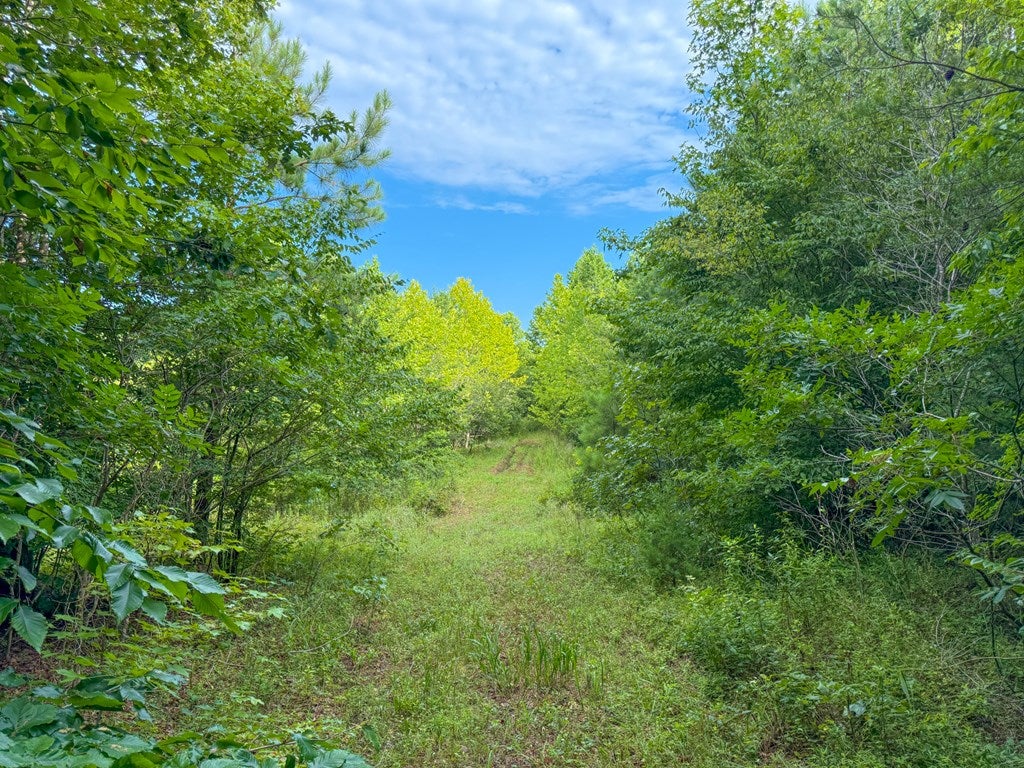 Mountain Hall Road Crewe, VA 23930 - Photo 15 of 24 Gallery Image 15
