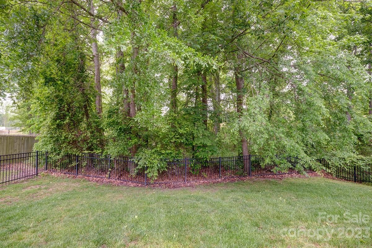 1129 Blowing Rock Cove Fort Mill, SC 29708 - Photo 33 of 37 a view of outdoor space and yard