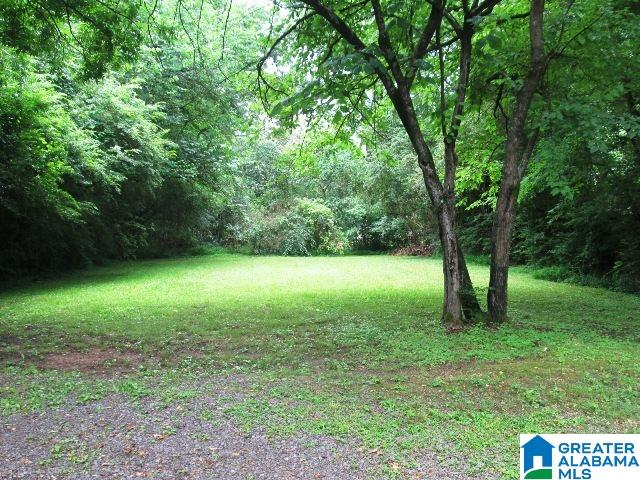 6928 Highway 11 Springville, AL 35146 - Photo 27 of 34