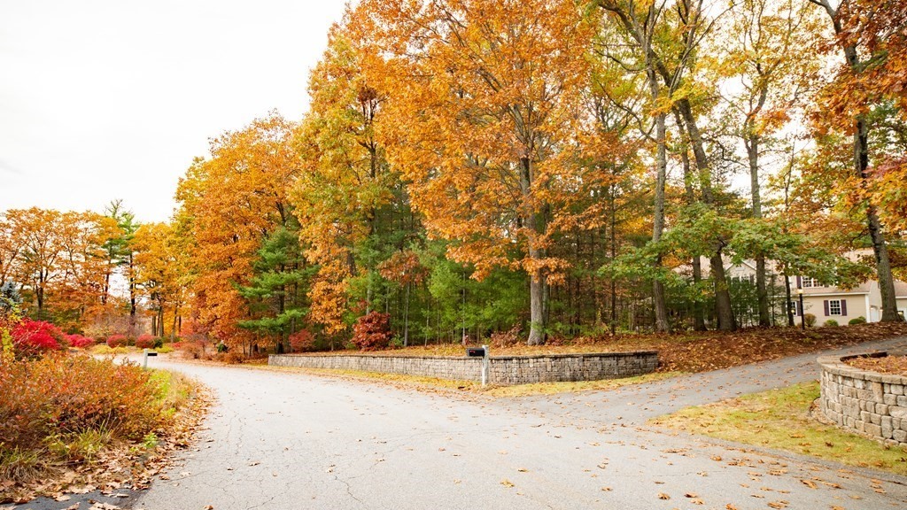 48 Easter Brook Road Lunenburg, MA 01462 - Photo 10 of 38 a view of road with trees