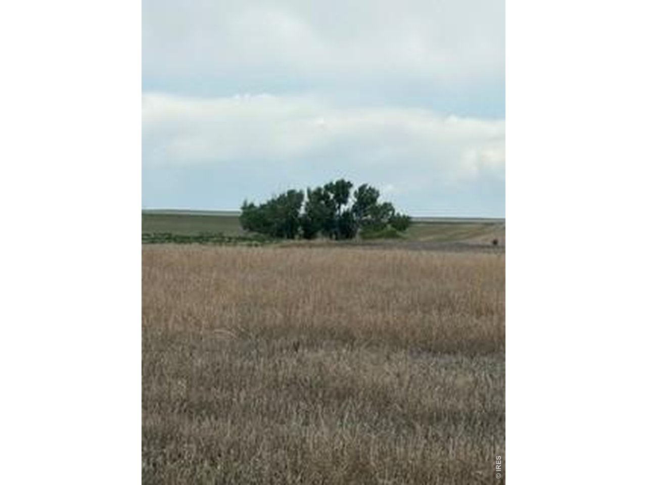 Peoria Crossing Road Wiggins, CO 80654 - Photo 1 of 3