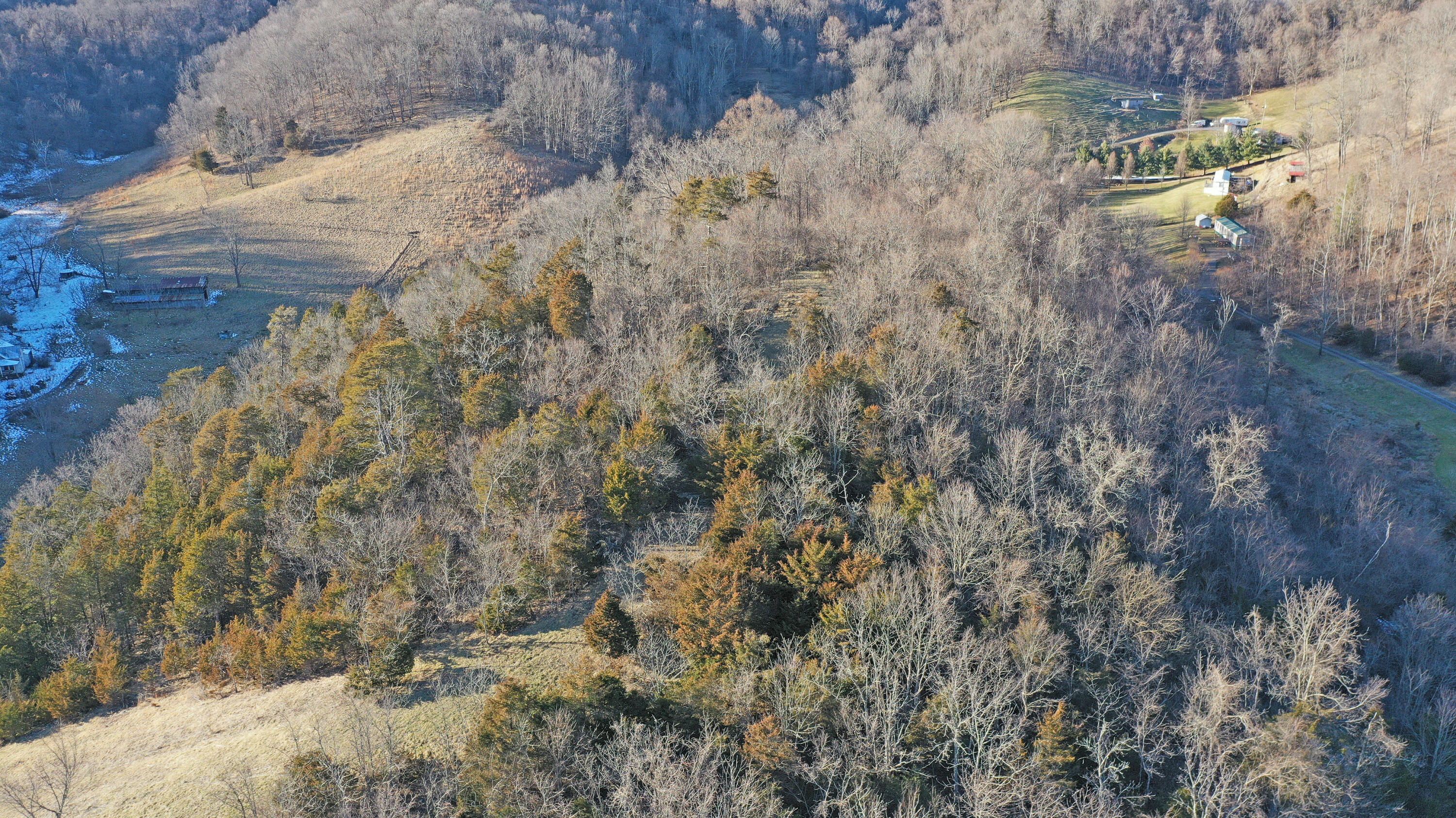 647 McFarlane Lane Rosedale, VA 24280 - Photo 42 of 42 DJI_0887
