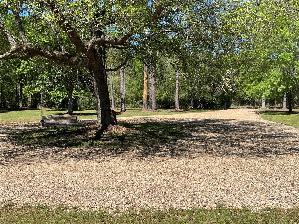 23520 Thornhill Road Bush, LA 70431 - Photo 11 of 11