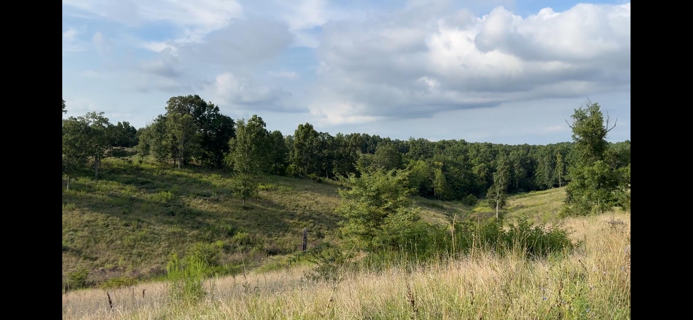 0 New Columbus Road Corinth, KY 41010 - Photo 18 of 23