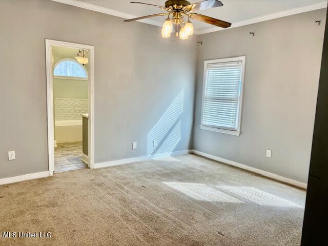 320 Woodrun Drive Ridgeland, MS 39157 - Photo 14 of 19 IMG_9234