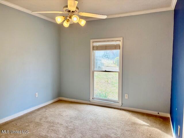 320 Woodrun Drive Ridgeland, MS 39157 - Photo 10 of 19 IMG_9229