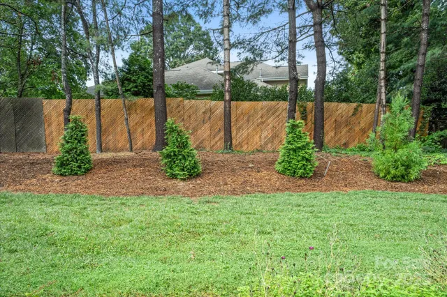 a view of a backyard