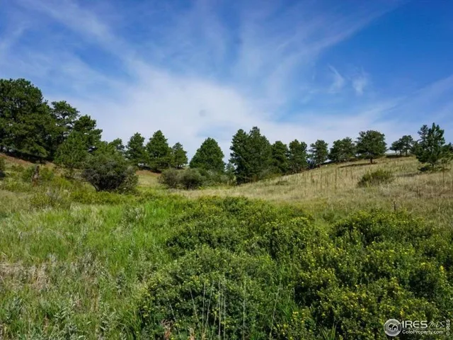 a view of a field of grass and trees