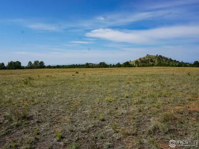 a view of an ocean and beach
