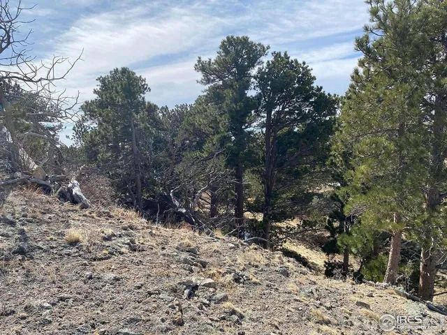 a view of a lake with a yard