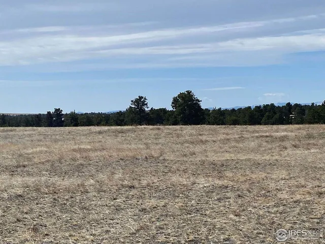 a view of outdoor space with trees