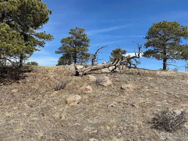 a view of outdoor space