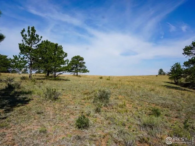 a view of yard with green space
