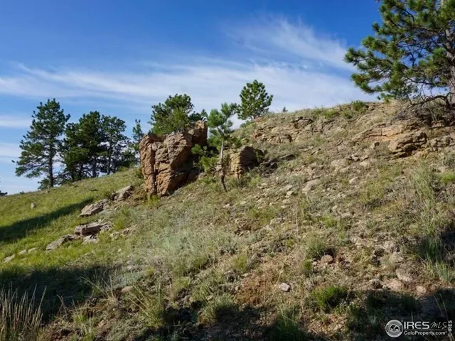 a view of a field with trees in the background