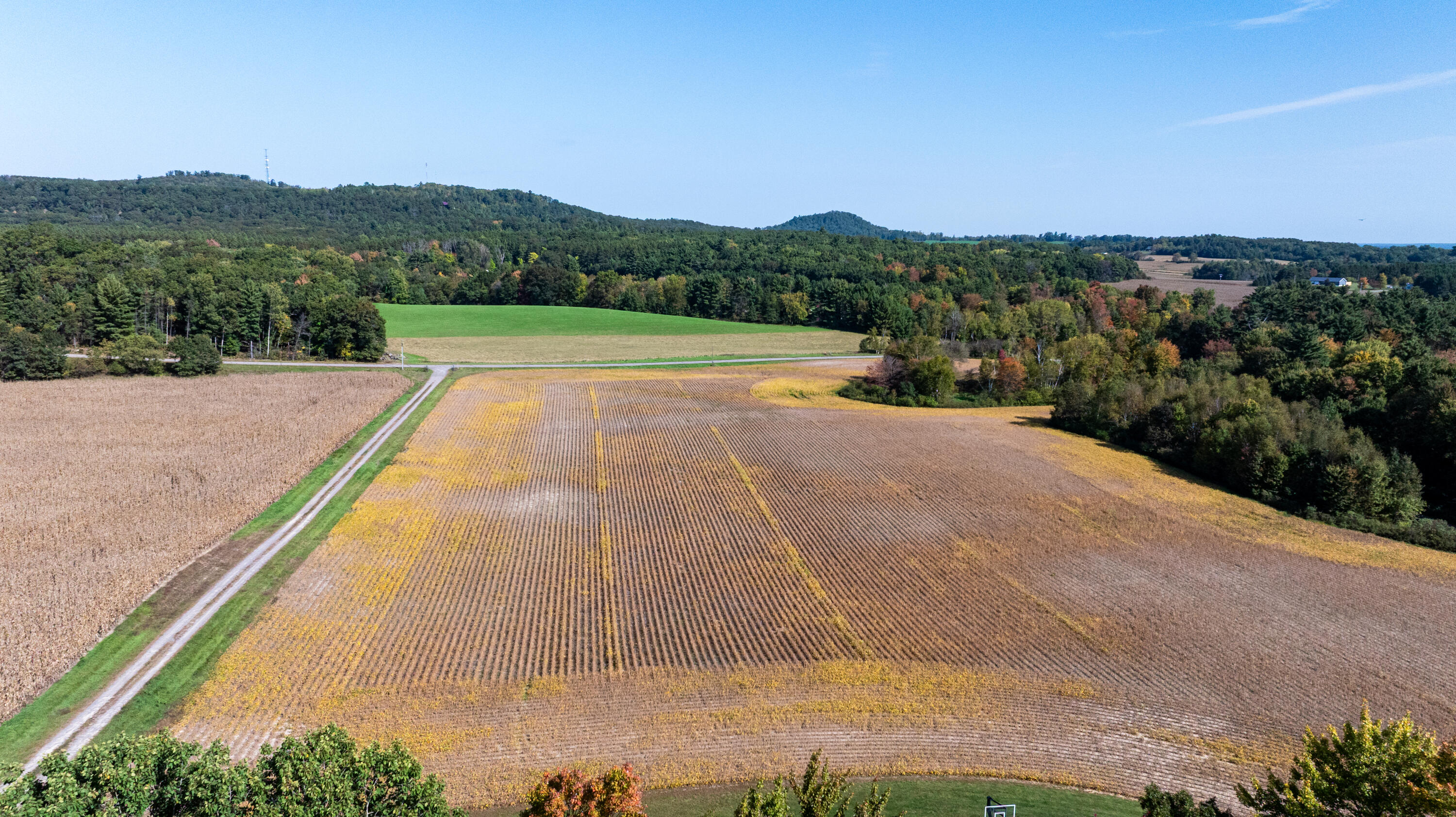 0 Hannon Road Black River Falls, WI 54615 - Photo 4 of 6 Aerial 4