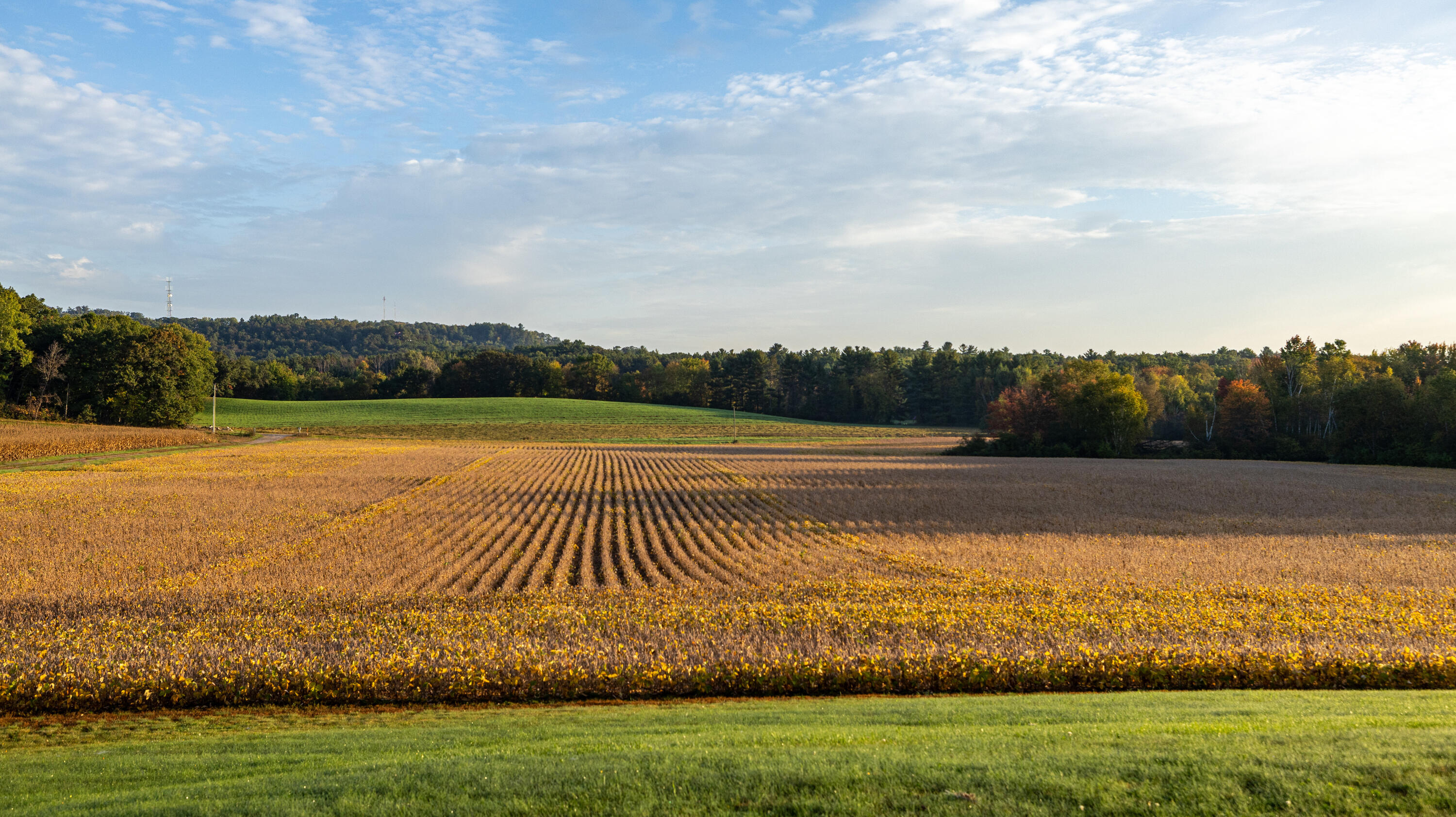 0 Hannon Road Black River Falls, WI 54615 - Photo 5 of 6 Front 1