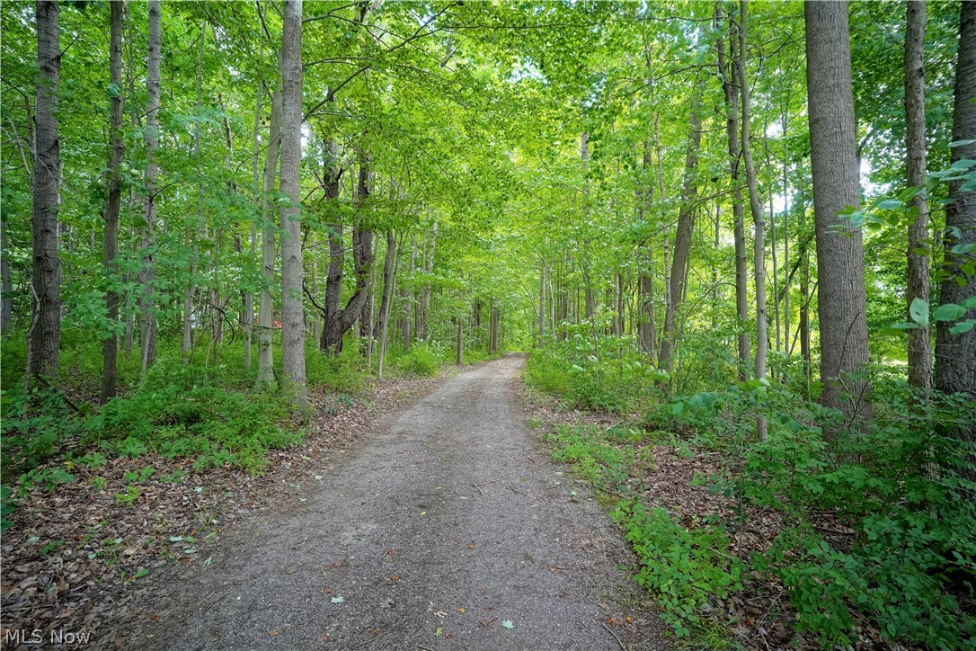 6695 Booth Road Ravenna, OH 44266 - Photo 8 of 35 Gallery Image 8