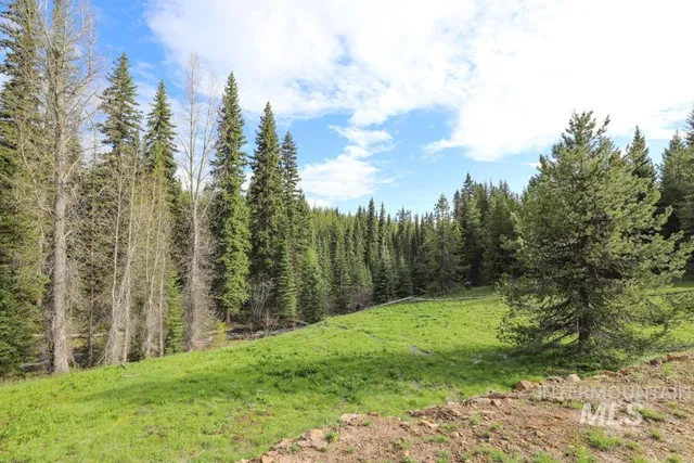 $4,950,000 | 79250 Lookout Mountain Road, Elgin, OR 97827