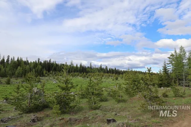 $4,950,000 | 79250 Lookout Mountain Road, Elgin, OR 97827