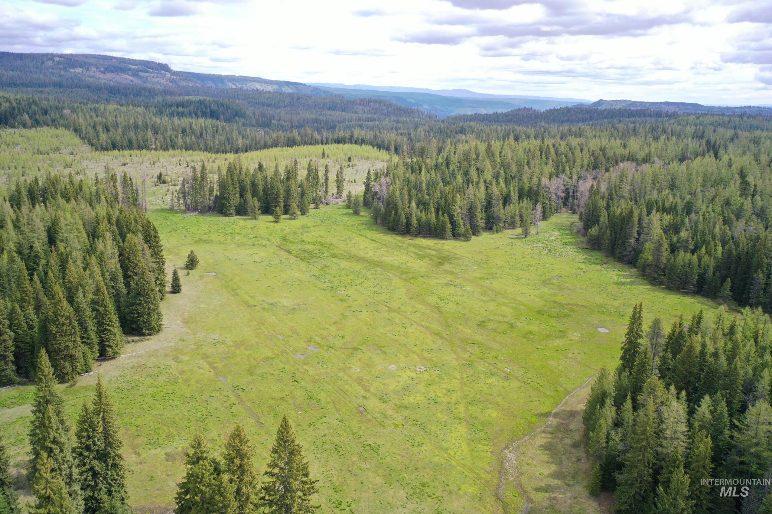 79250 Lookout Mountain Road Elgin, OR 97827 - Photo 43 of 50