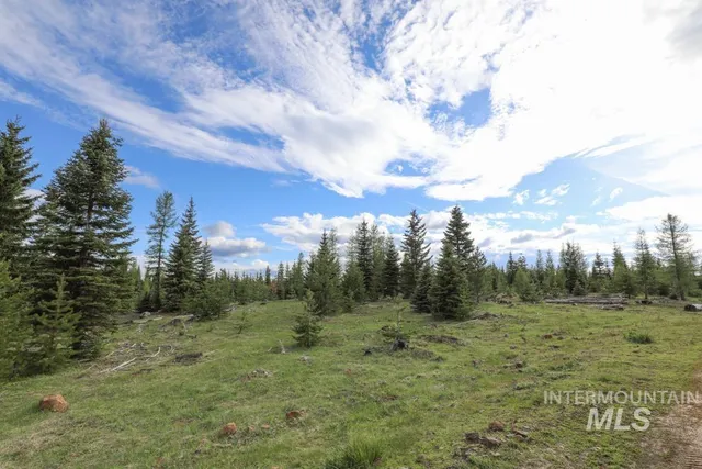 $4,950,000 | 79250 Lookout Mountain Road, Elgin, OR 97827