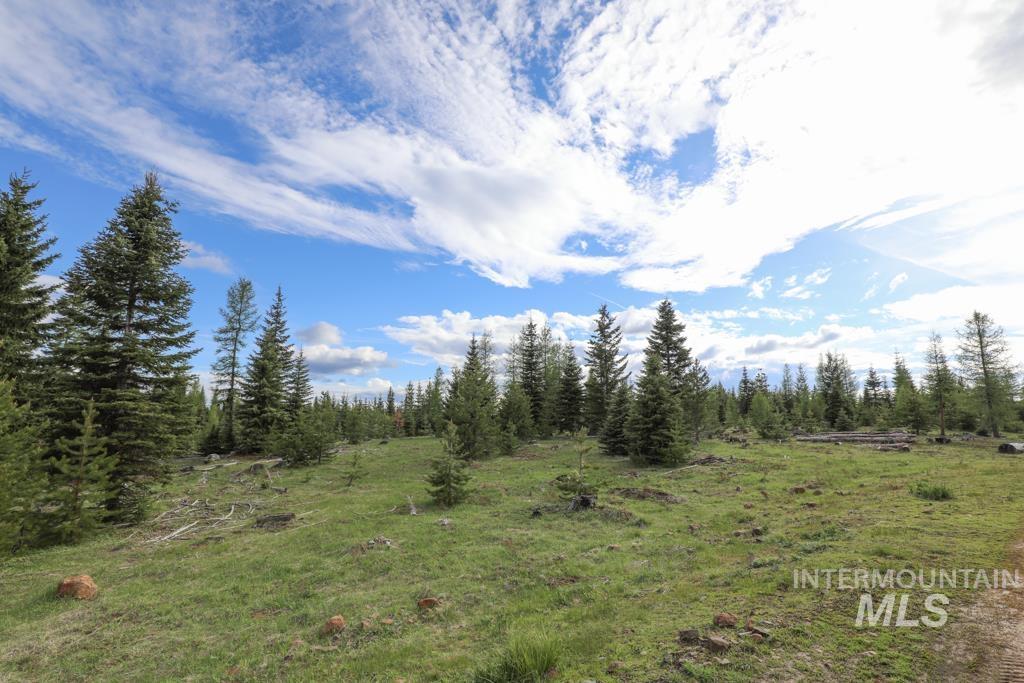 79250 Lookout Mountain Road Elgin, OR 97827 - Photo 44 of 50