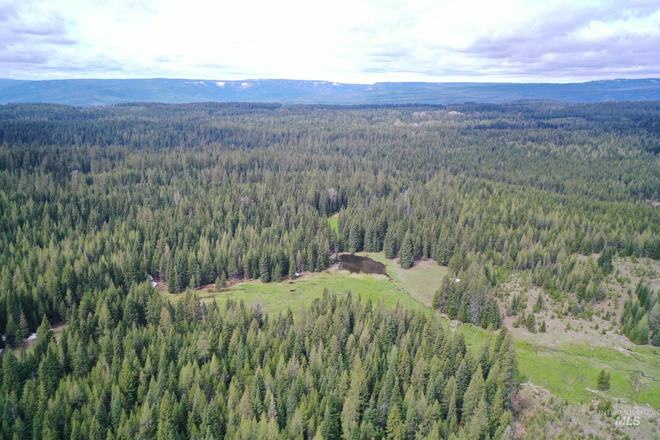79250 Lookout Mountain Road Elgin, OR 97827 - Photo 50 of 50
