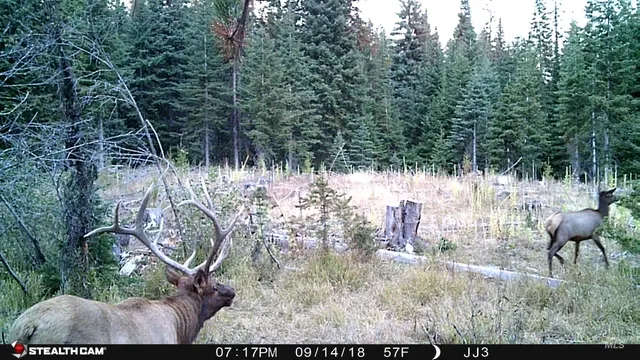 $4,950,000 | 79250 Lookout Mountain Road, Elgin, OR 97827