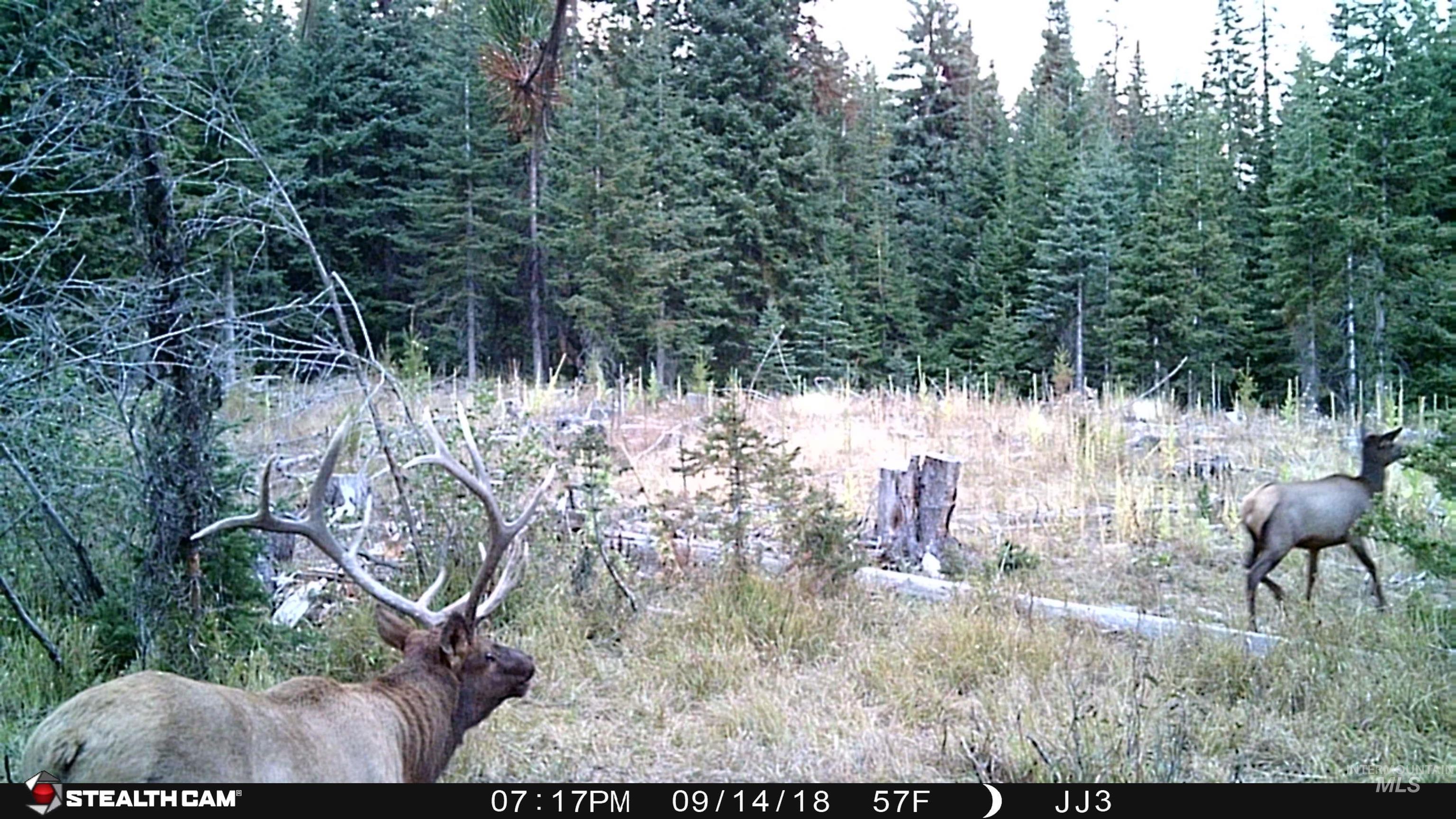 79250 Lookout Mountain Road Elgin, OR 97827 - Photo 5 of 50